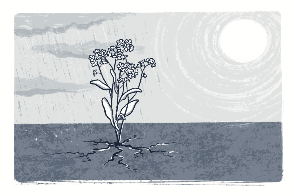 Workshop »Vergiss mein nicht (Tonskulpturen mit Blumensamen)«