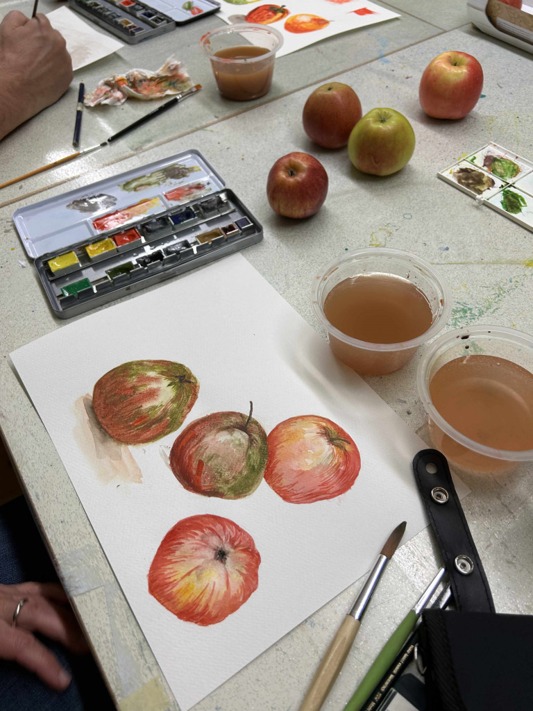 Botanisches Aquarell bei Sunyoung Bae