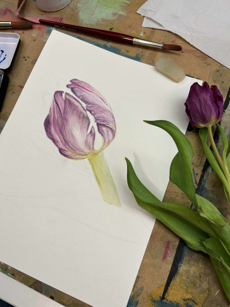 Botanisches Aquarell bei Sunyoung Bae